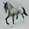 CHIGGER - OOAK Dapple Gray Tennessee Walker 1/15