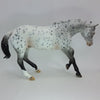 SPOTS A LOT - OOAK Leopard Appaloosa Performance Horse 1/15