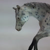 SPOTS A LOT - OOAK Leopard Appaloosa Performance Horse 1/15