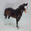 ZOON - OOAK Dapple Dark Bay Stock Horse 1/15