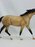GRAVIDAS - OOAK Dapple Buckskin Pony 1/15