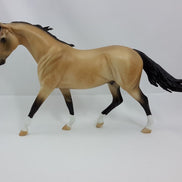 GRAVIDAS - OOAK Dapple Buckskin Pony 1/15