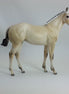 BABY DOLL - Light Buttermilk Dun Fjord Mix Weanling  1/15