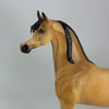 BEZAZZES - OOAK Dapple Buckskin Arabian 1/15