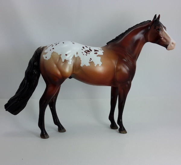 COWBOY CRYBABY - OOAK Bay Appaloosa Stock Horse 1/15