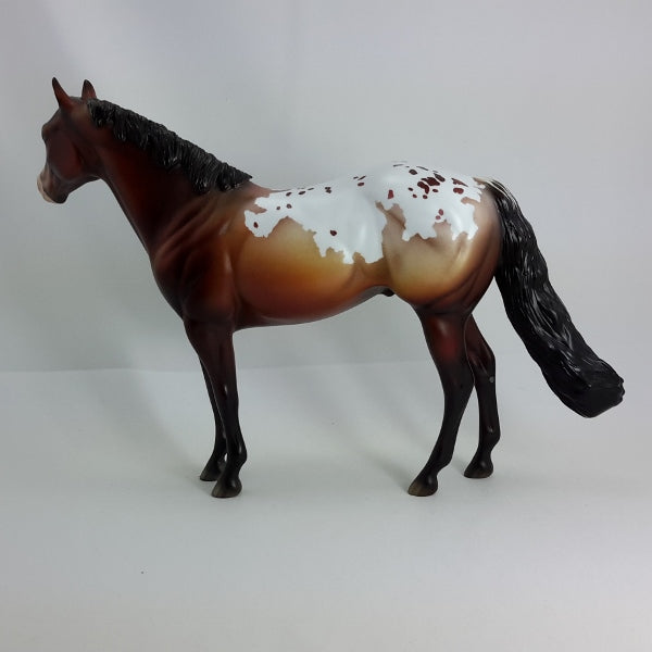 COWBOY CRYBABY - OOAK Bay Appaloosa Stock Horse 1/15