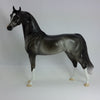 50 SHADES OF GRAY - OOAK Dark Dapple Gray Arabian 1/15