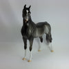 50 SHADES OF GRAY - OOAK Dark Dapple Gray Arabian 1/15