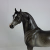 50 SHADES OF GRAY - OOAK Dark Dapple Gray Arabian 1/15