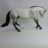 TWIST N&#39; SHOUT - OOAK Gray Paint Performance Horse 1/15