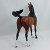 SKYLARK - OOAK Dapple Bay Arabian 1/15