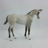 LAMBIKINS -OOAK Light Silver Dun Weanling Model Horse - 1/15