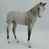 LAMBIKINS -OOAK Light Silver Dun Weanling Model Horse - 1/15