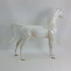 SEASHELL - OOAK Pearl White Deco Arabian 1/15