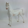 SEASHELL - OOAK Pearl White Deco Arabian 1/15