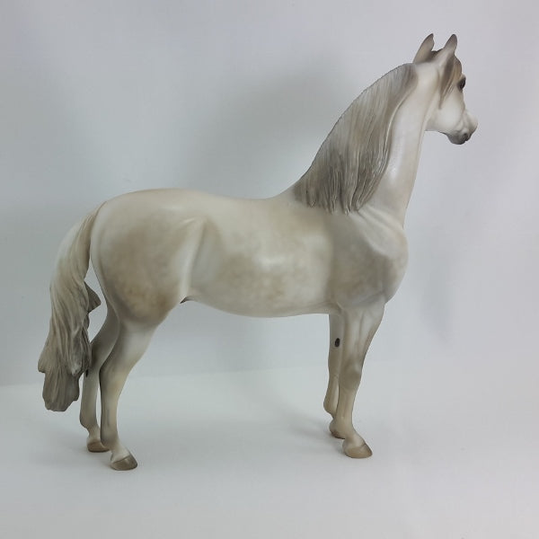 CONCERN - OOAK Dapple Light Gray Morgan 1/15