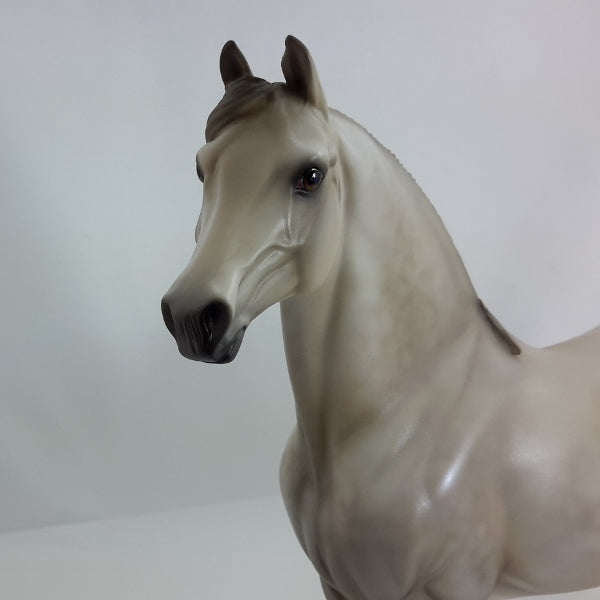 CONCERN - OOAK Dapple Light Gray Morgan 1/15