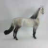 CALM - OOAK Dapple Silver Dun Morgan 1/15