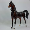 SABRINA - OOAK Dark Bay Extreme Arabian 1/15