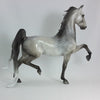 STAR OF THE SHOW - OOAK Star Dapple Saddlebred 1/15