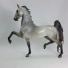 STAR OF THE SHOW - OOAK Star Dapple Saddlebred 1/15