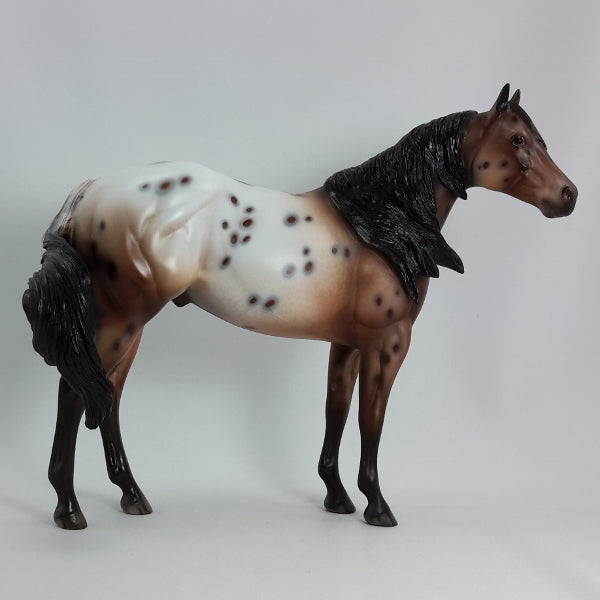 SPOTIFY - OOAK Chestnut Appaloosa Model Horse - 1/15