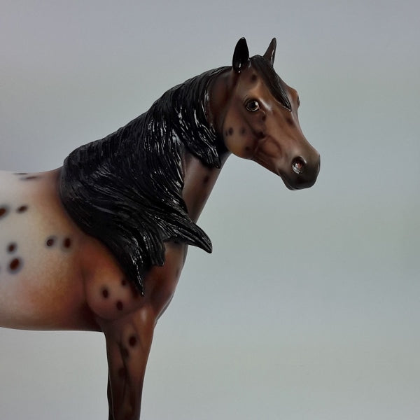 SPOTIFY - OOAK Chestnut Appaloosa Model Horse - 1/15