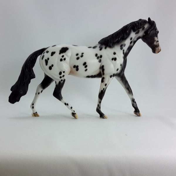 BLACK CAT - OOAK Black Leopard Appaloosa Pony 1/15