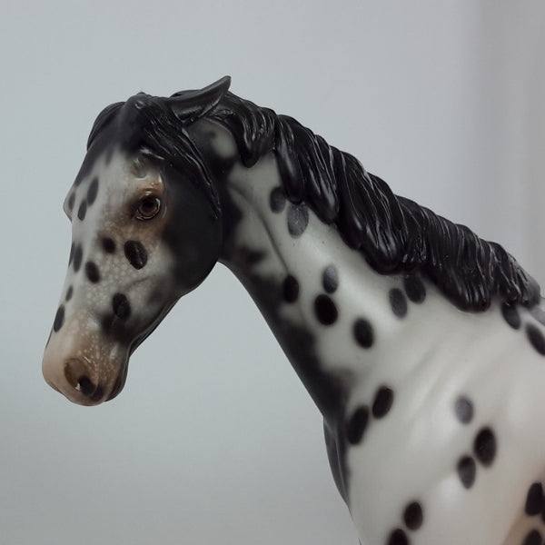 BLACK CAT - OOAK Black Leopard Appaloosa Pony 1/15