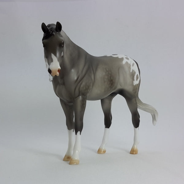 MEDIA - OOAK Gray Dapple Appaloosa Model Horse Pebbles - 1/15