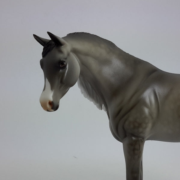 MEDIA - OOAK Gray Dapple Appaloosa Model Horse Pebbles - 1/15