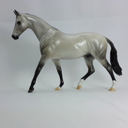 BABY'S BREATH - Silver Dun Grulla Braided Pony 2015 Edition
