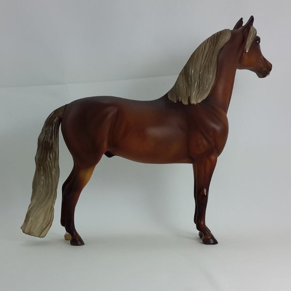 Flaxen Chestnut Morgan