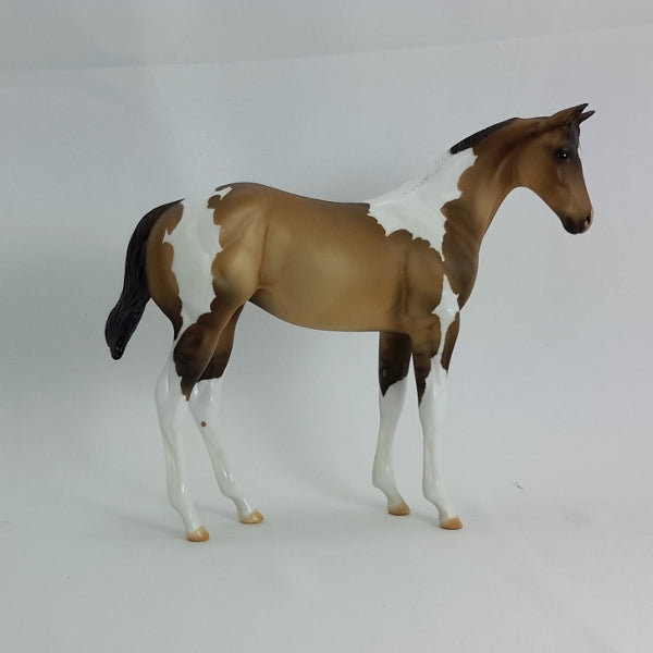 FORGET ME NOT - Dun Tobiano Paint Weanling 2015 Edition