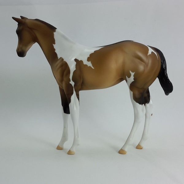 FORGET ME NOT - Dun Tobiano Paint Weanling 2015 Edition