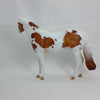 ONE PERCENT - OOAK Light Chestnut Paint Stock Horse 2/15