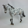 LOVE IS EVERYWHERE - OOAK Leopard Appaloosa Hearts Thoroughbred 1/15