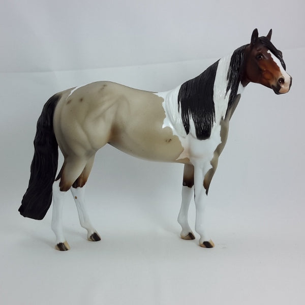 INTEL - OOAK  Bay Roan Tobiano Stock Horse1/15