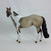 INTEL - OOAK  Bay Roan Tobiano Stock Horse1/15