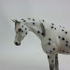 Pebbles Hearts Appaloosa