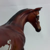 e-COMMERCE - OOAK Bay Overo Paint Weanling 1/15