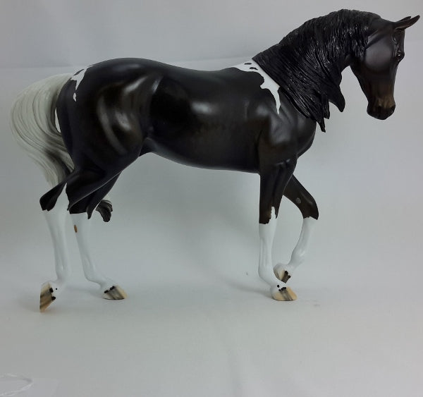 STOCKS - OOAK Sunburnt Black Pinto Thoroughbred 1/15