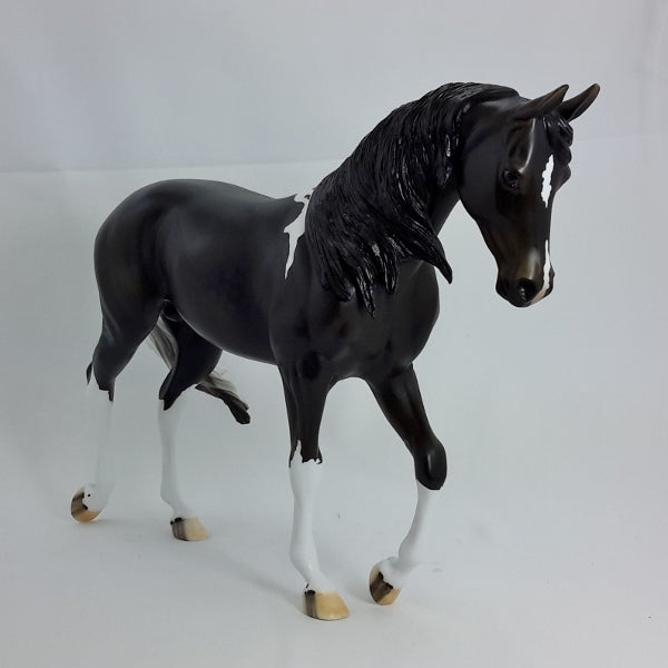 STOCKS - OOAK Sunburnt Black Pinto Thoroughbred 1/15