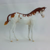 ORACLE - OOAK Chestnut Splash Overo Weanling 1/15