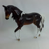 BONDS - OOAK Bay Pinto Thoroughbred 1/15