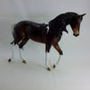 BONDS - OOAK Bay Pinto Thoroughbred 1/15