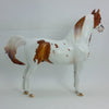 FIFTY PERCENT - OOAK Chestnut Tobiano Pinto Morgan - 1/15