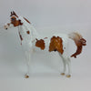 FIFTY PERCENT - OOAK Chestnut Tobiano Pinto Morgan - 1/15