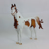 FIFTY PERCENT - OOAK Chestnut Tobiano Pinto Morgan - 1/15