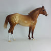 SWAK - OOAK Dapple Chestnut Stock Horse 2/15